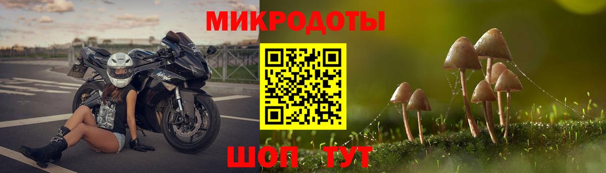 Псилоцибиновые грибы Cubensis  Вход с VPN  Ивантеевка 